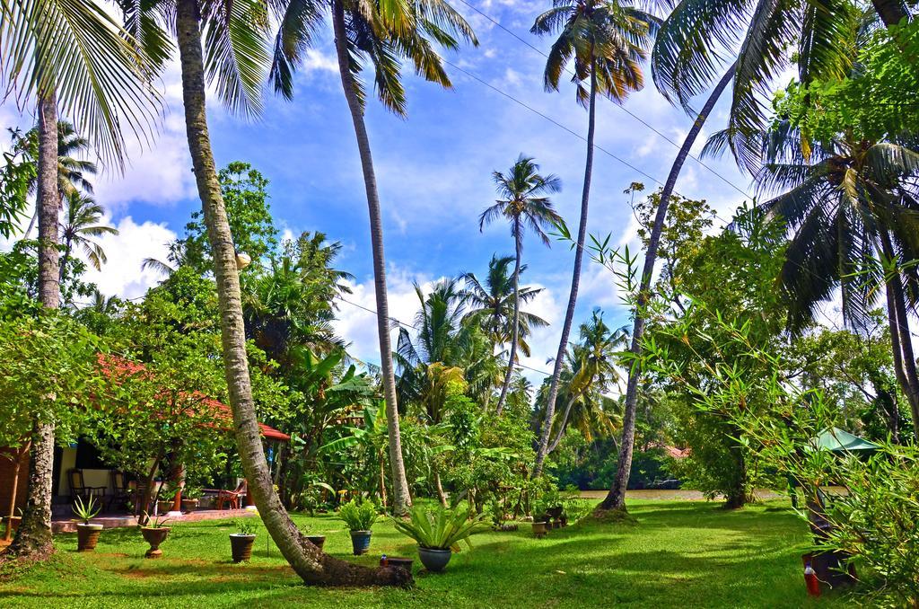 Aknara Rest Hotel Weligama Exterior foto