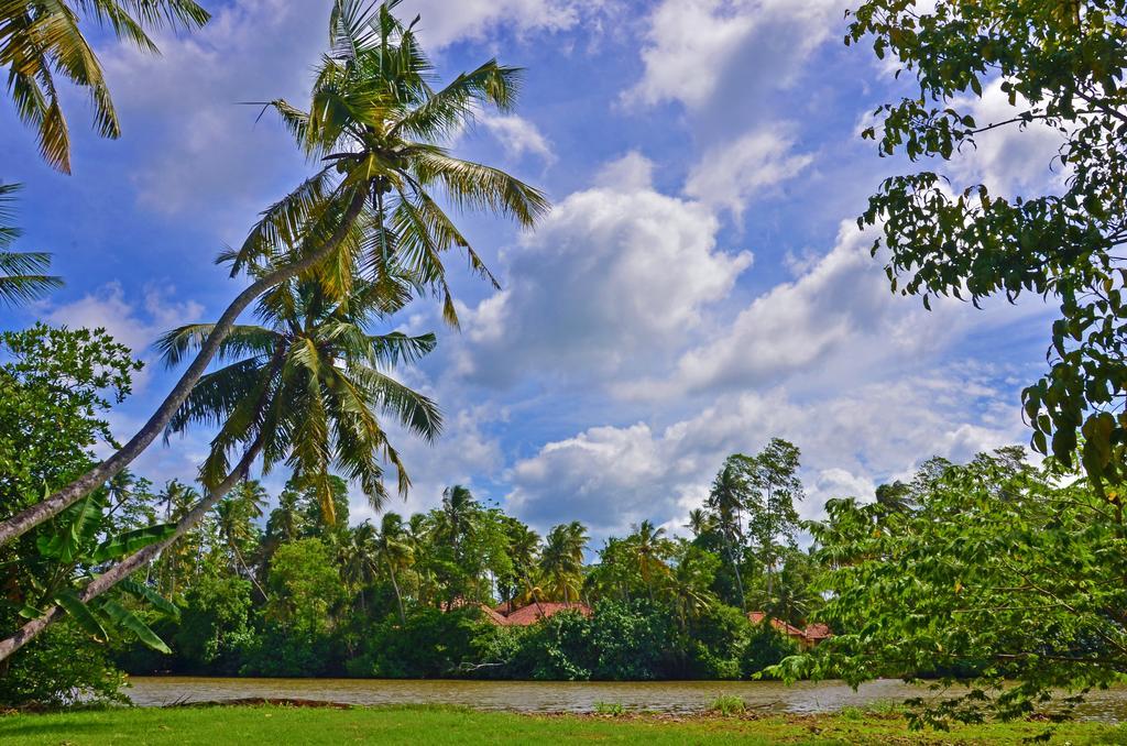 Aknara Rest Hotel Weligama Exterior foto